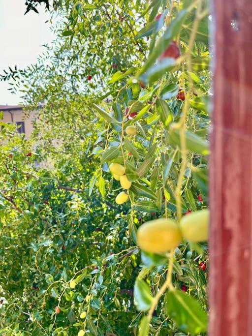 Apartament Da Antonella Bergamo Zewnętrze zdjęcie